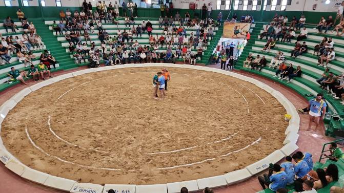 Terrero del Club de Lucha Maxorata (Pedro Sánchez)