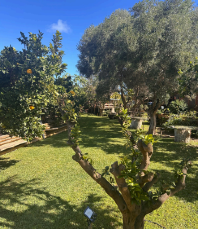 Finca en Moya